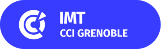 logo_domain_imt.png